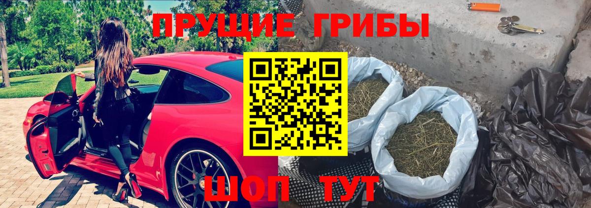 Галлюциногенные грибы мицелий Дзержинский
